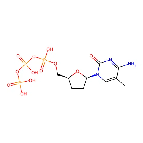ddMetCTP structure