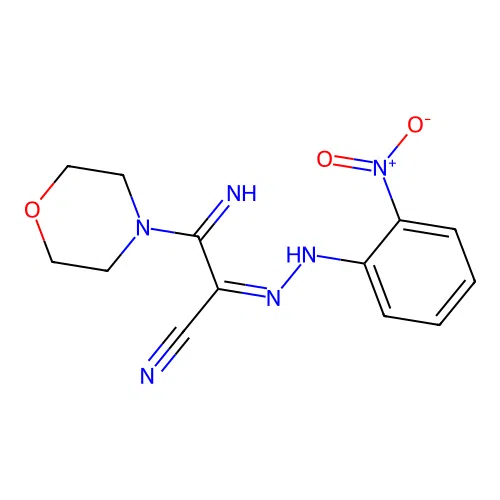 (1Z)-2-imino-2-morpholin-4-yl-N-(2-nitroanilino)ethanimidoyl cyanide structure