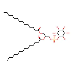 Dimyristoylphosphatidylinositol structure