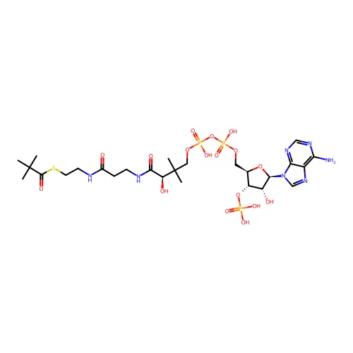Pivalyl-Coenzyme A structure