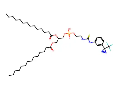 C14-Ped structure