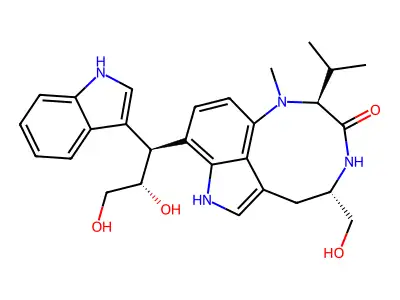 Cytoblastin structure