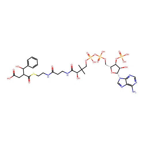 [hydroxy(phenyl)methyl]succinyl-CoA structure