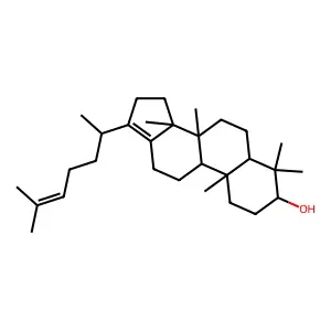 Isotirucallol structure