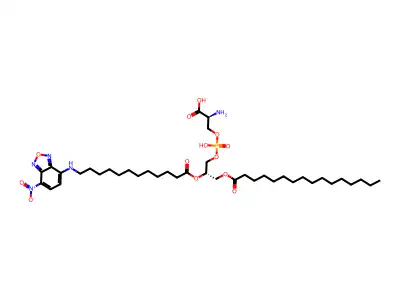 (Palmitoyl-C12-nbd)-PS structure