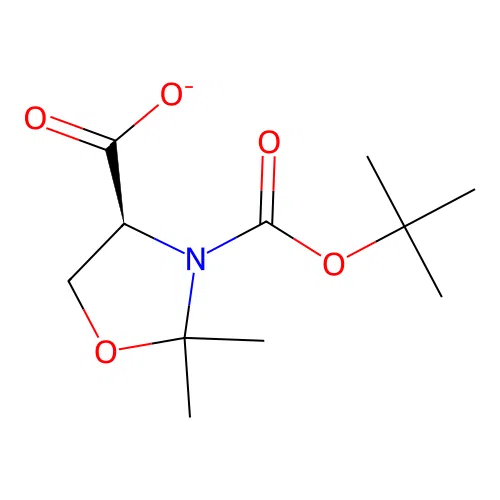 C11H18NO5- structure