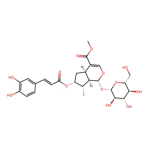 7-Caffeoylloganin structure