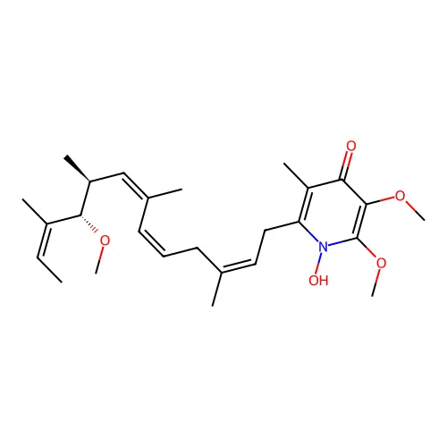 Piericidin B(sub 1) N-oxide structure