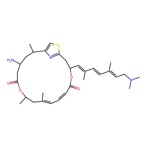 pateamine A structure