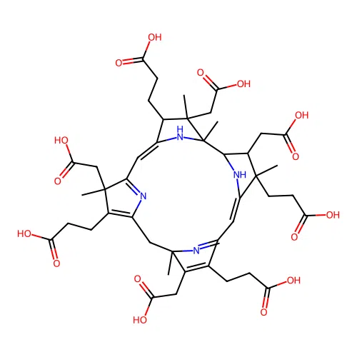Precorrin 6Y structure