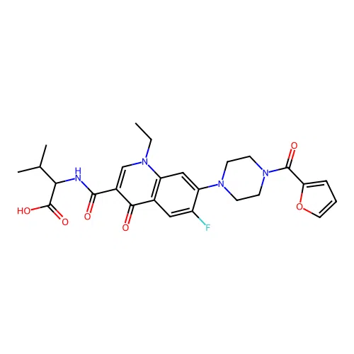 2-(1-ethyl-6-fluoro-7-(4-(furan-2-carbonyl)piperazin-1-yl)-4-oxo-1,4-dihydroquinoline-3-carboxamido)-3-methylbutanoic acid structure