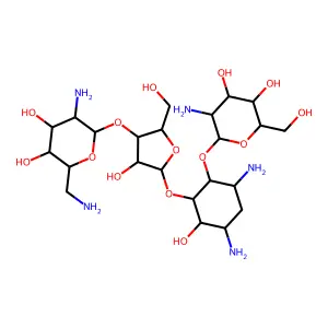 paromomycin structure