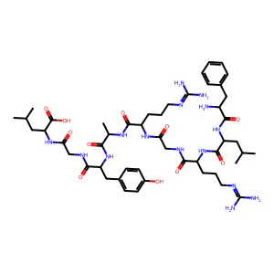 HLA-B*0801-binding EBV peptide structure