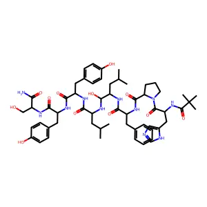 CH 66 structure