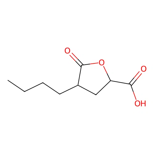 4-Butyl-5-oxotetrahydrofuran-2-carboxylic acid structure