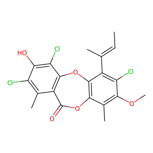 Nidulin structure
