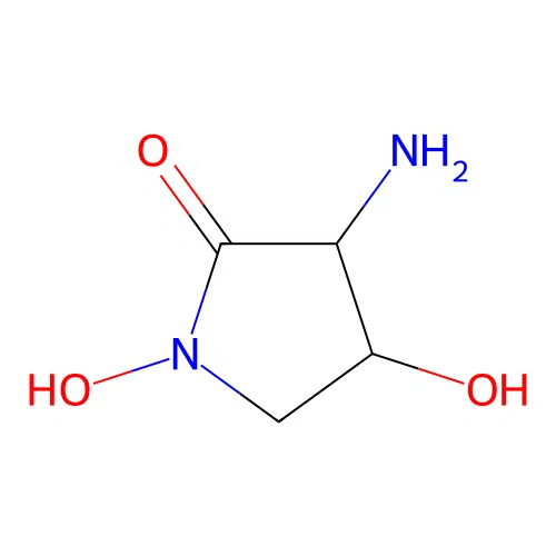 3-Amino-1,4-dihydroxypyrrolidin-2-one structure