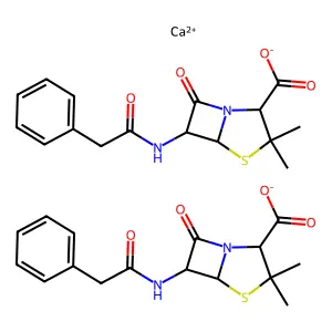 Prothidium structure
