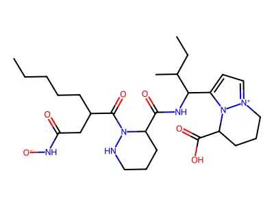 Matlystatin D structure