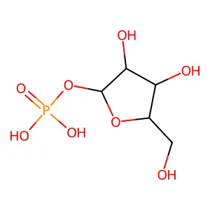 1-o-Phosphonopentofuranose structure