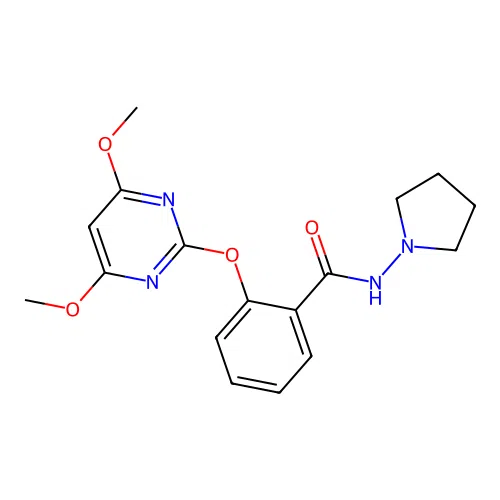 2-(4,6-dimethoxypyrimidin-2-yl)oxy-N-pyrrolidin-1-ylbenzamide structure
