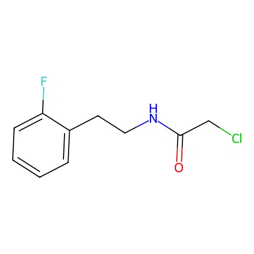 2-chloro-N-[2-(2-fluorophenyl)ethyl]acetamide structure