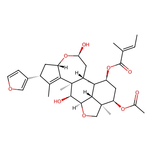 Volkensin (protein) structure