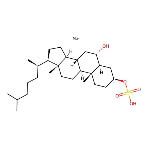 6-Hydroxycholestan-3-yl sulfate structure