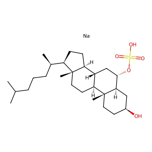 3-Hydroxycholestan-6-yl sulfate structure