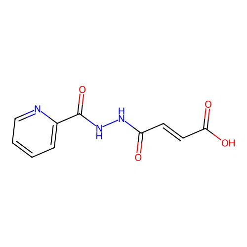 (2E)-4-oxo-4-[2-(pyridin-2-ylcarbonyl)hydrazinyl]but-2-enoic acid structure