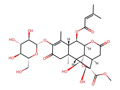 Bruceoside C structure