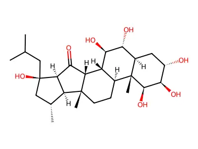 Xeatobergsterol B structure