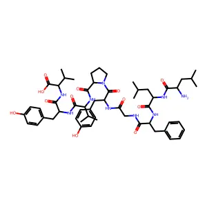 HTLV-1 Tax (11-19) structure