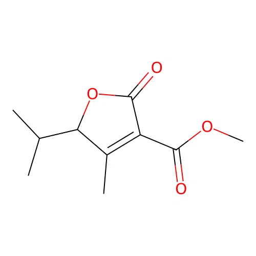 Methyl 5-isopropyl-4-methyl-2-oxo-2,5-dihydro-3-furancarboxylate structure