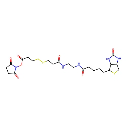 Biotin-bisamido-SS-NHS structure