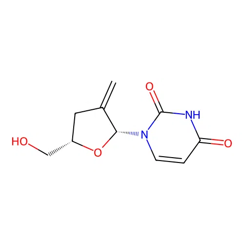 2'CH2ddU structure