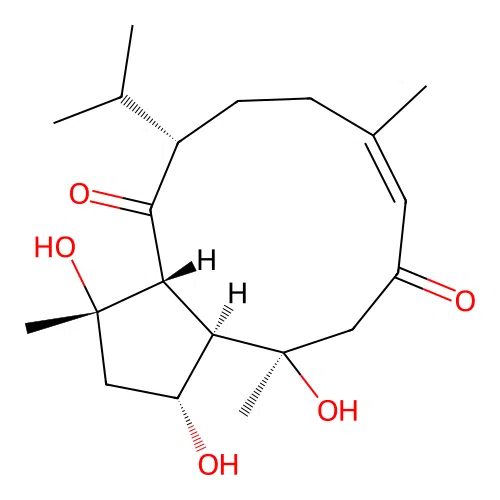 4,6,8-Trihydroxy-11-capnosene-2,10-dione structure