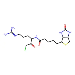 Biotinylarginylchloromethane structure