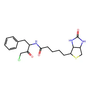 Biotinylphenylalanylchloromethane structure