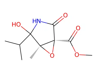 Add 196022 structure