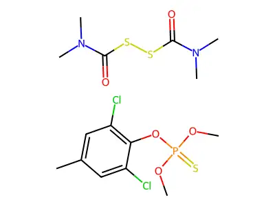 Rizolex T structure