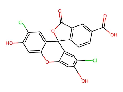 ClCF structure
