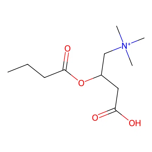 (2-Butanoyloxy-3-carboxypropyl)-trimethylazanium structure