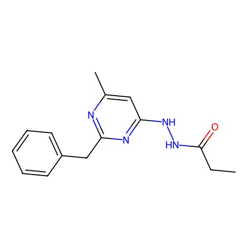 N'-(2-benzyl-6-methylpyrimidin-4-yl)propanehydrazide structure
