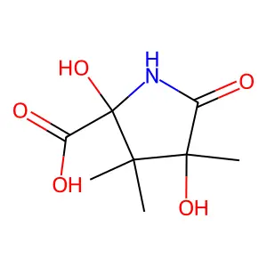 2,4-Dihydroxy-3,3,4-trimethylpyroglutamic acid structure
