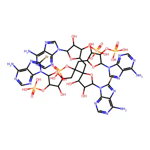 Ppp-AA structure