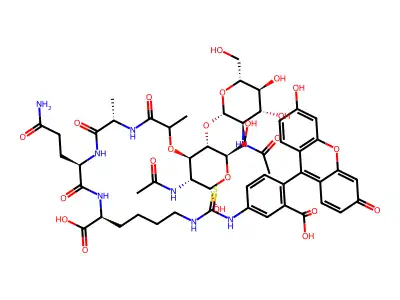 Fluoresceinthiocarbamoyl-lys-glcnac-1-4-murnac-ala-isoglutamine structure