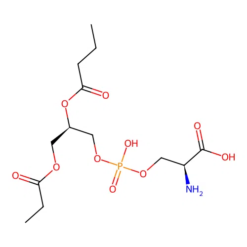 Phosphatidylserine structure