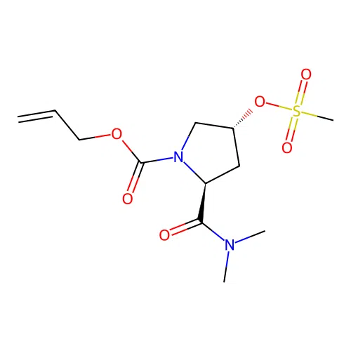 J1.624.346I structure
