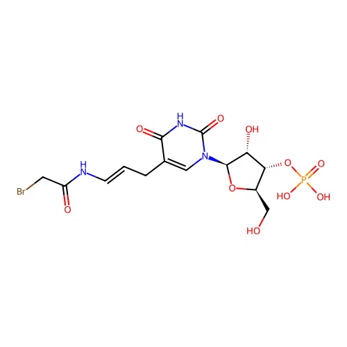 5-(3-(Bromoacetamido)allyl)uridine-3'-monophosphate structure